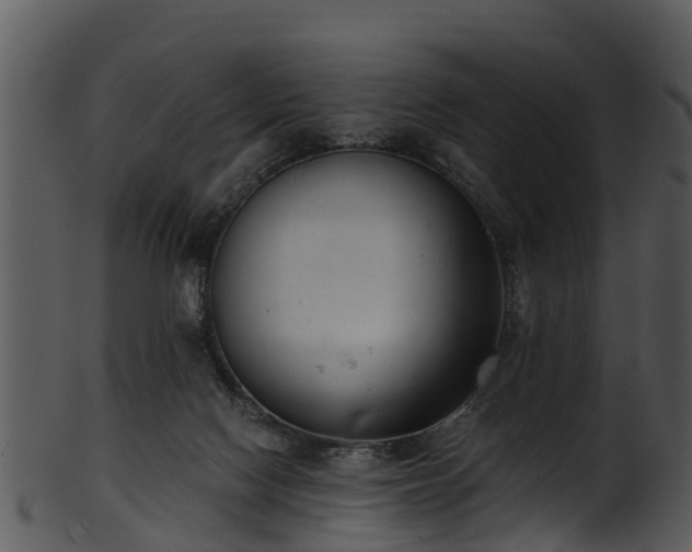 X0000101420074200807141204