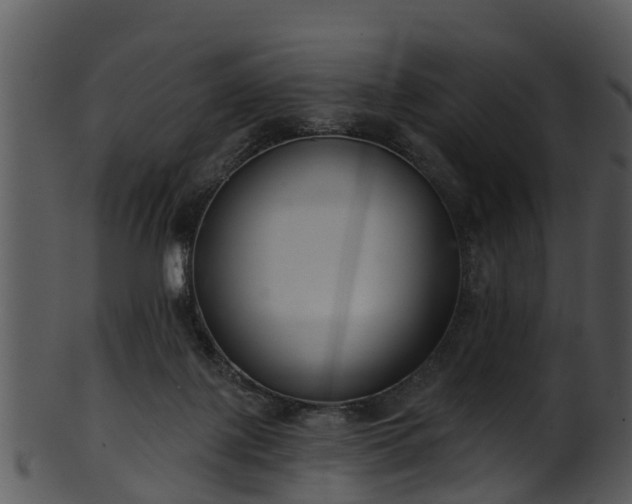 X0000101420075200807141204
