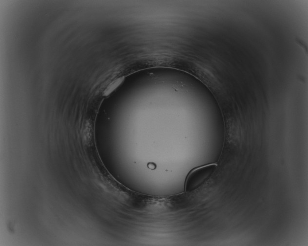 X0000101420077200807141204