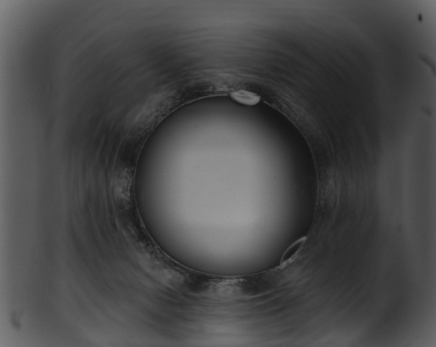 X0000101420078200807141204
