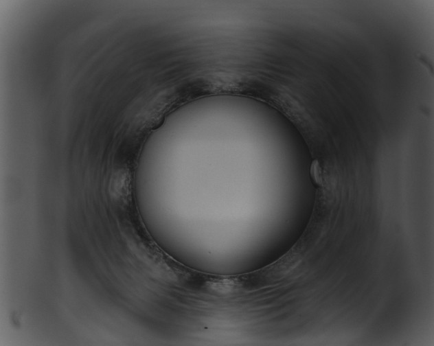 X0000101420079200807141204