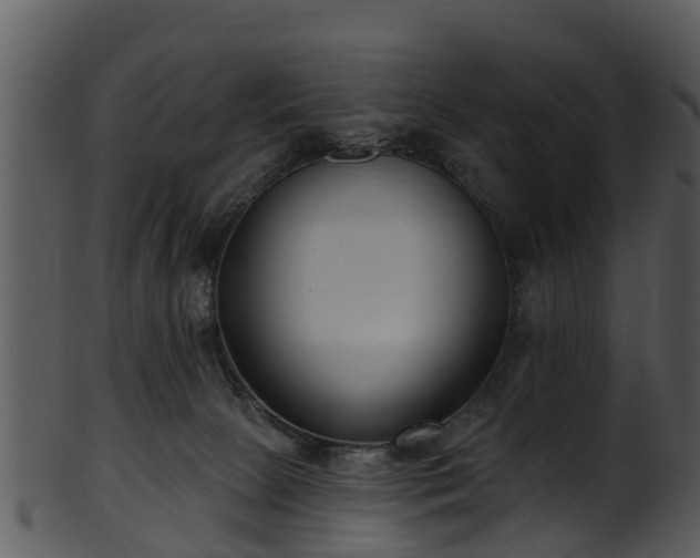 X0000101420081200807141204