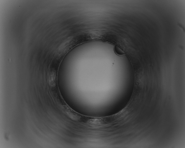 X0000101420082200807141204