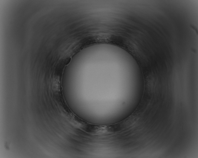 X0000101420083200807141204