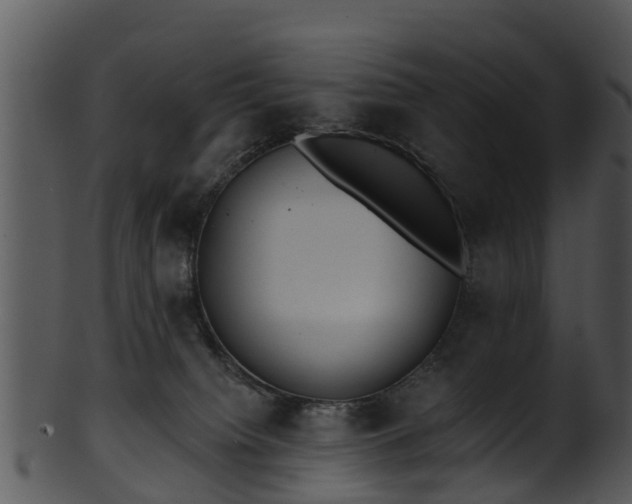 X0000101420084200807141204
