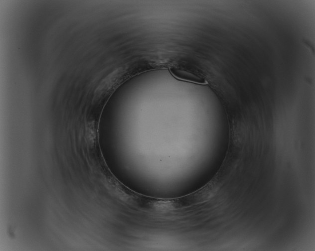 X0000101420085200807141204