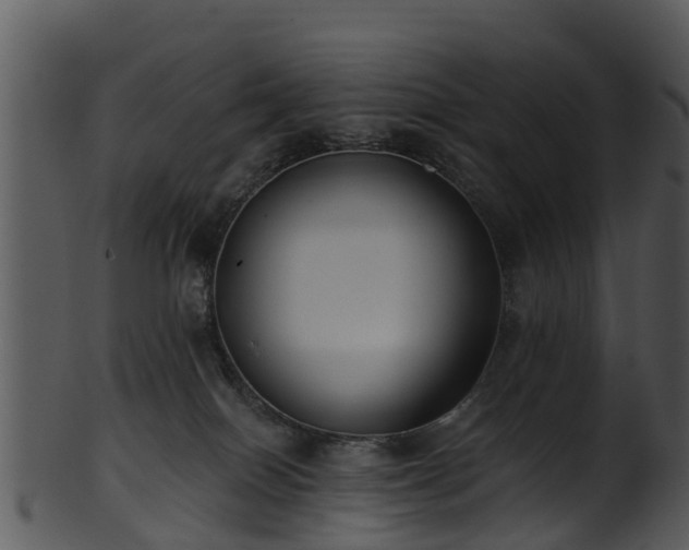X0000101420086200807141204
