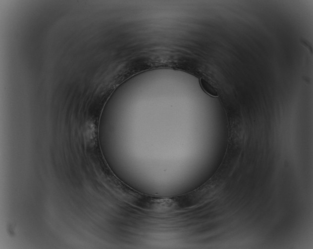 X0000101420087200807141204
