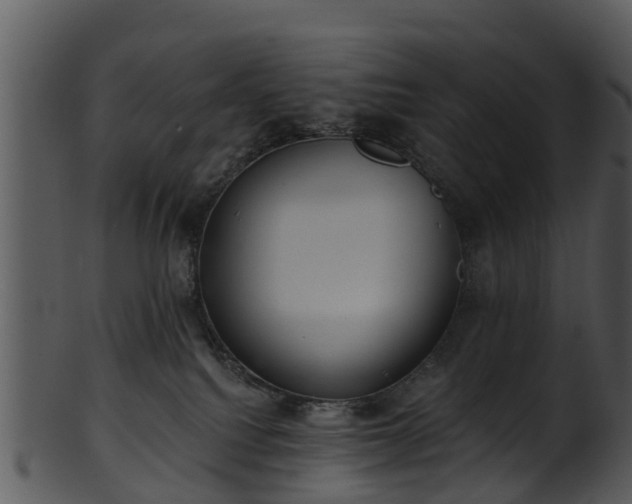X0000101420088200807141204