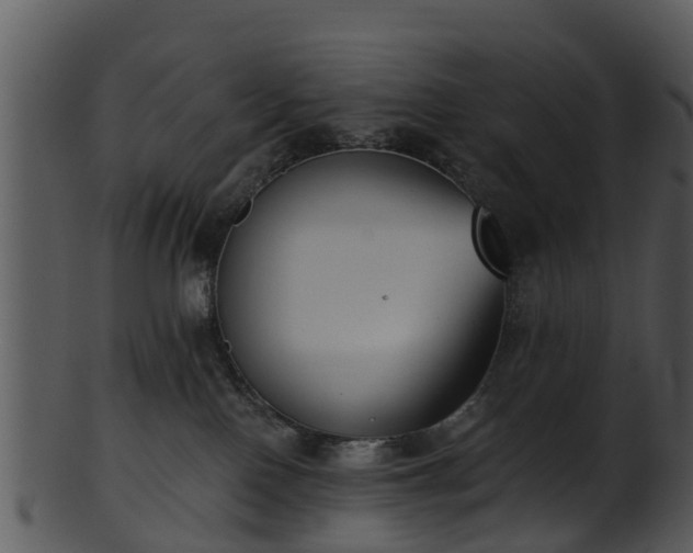 X0000101420090200807141204