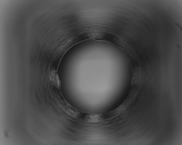 X0000101420093200807141204