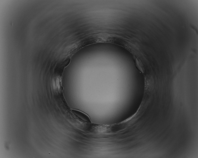 X0000101420094200807141204