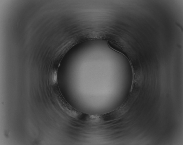 X0000101420095200807141204