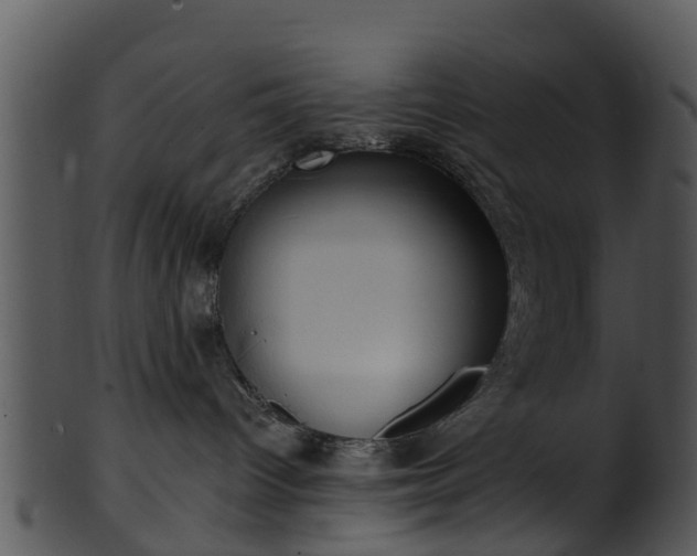 X0000101420096200807141204
