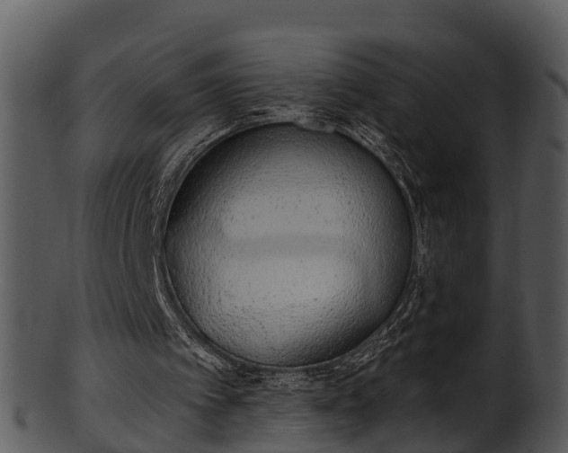 X0000101420097200807141203