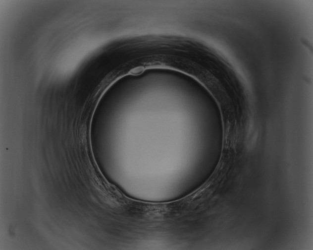 X0000101420099200807141203