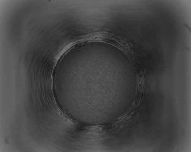 X0000101420100200807141203