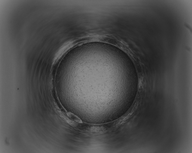 X0000101420101200807141203