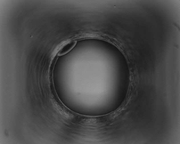 X0000101420104200807141203
