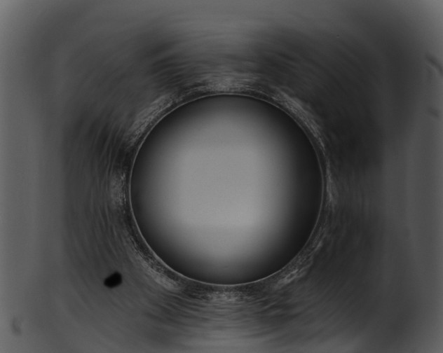 X0000101420105200807141203