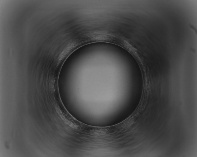 X0000101420106200807141203