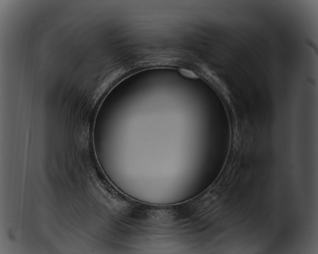 X0000101420107200807141203