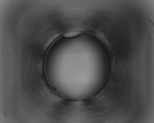 X0000101420108200807141203
