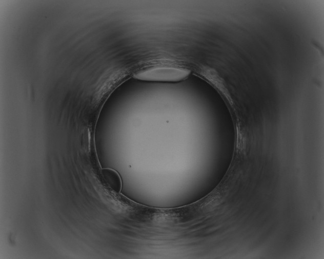 X0000101420109200807141203