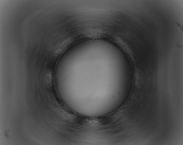 X0000101420113200807141203