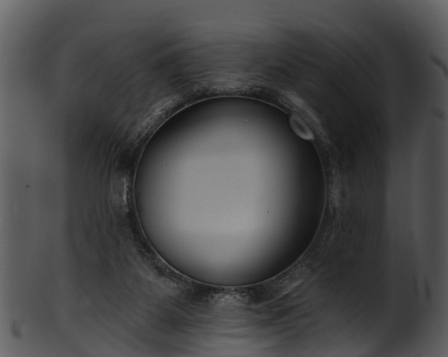 X0000101420115200807141203