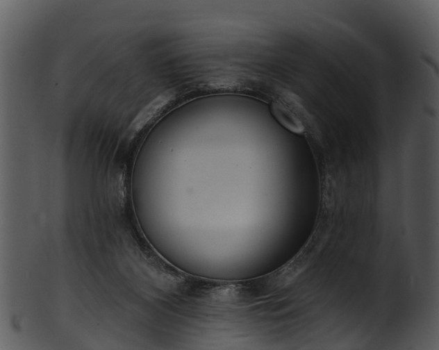 X0000101420116200807141203