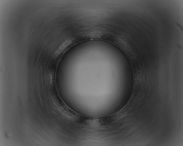 X0000101420120200807141203