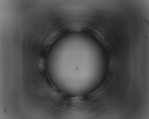 X0000101420122200807141203
