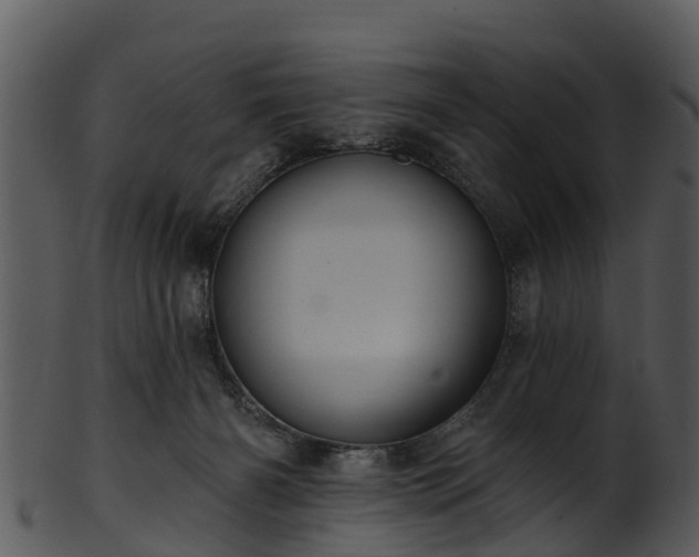 X0000101420126200807141203