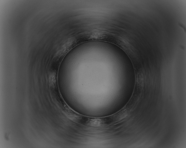 X0000101420127200807141203