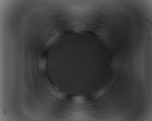 X0000101420139200807141203
