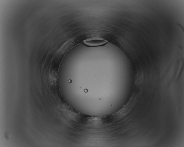X0000101420140200807141203