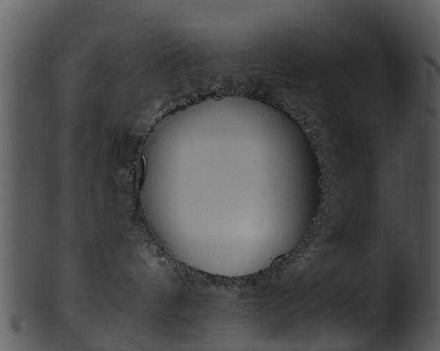 X0000101420144200807141203