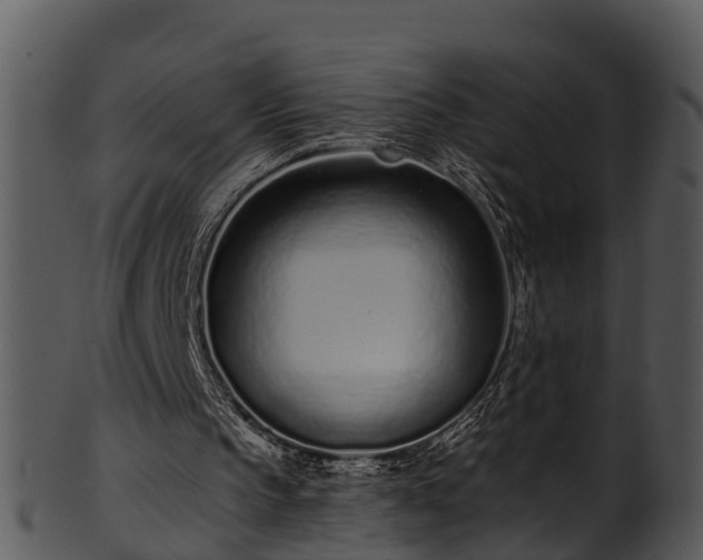 X0000101420145200807141202