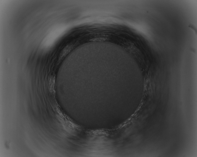 X0000101420146200807141202