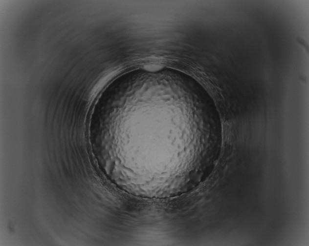 X0000101420147200807141202