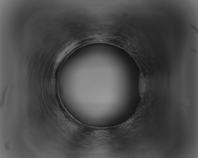 X0000101420150200807141202