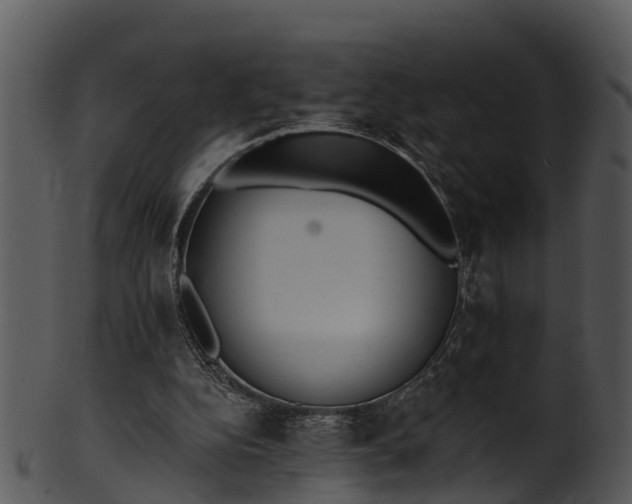 X0000101420152200807141202