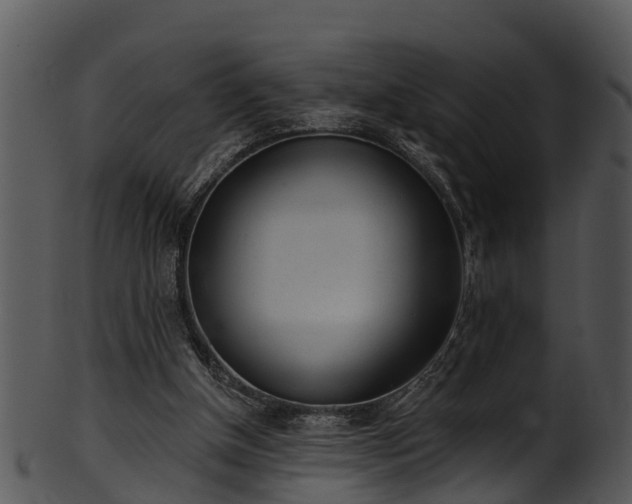 X0000101420154200807141202
