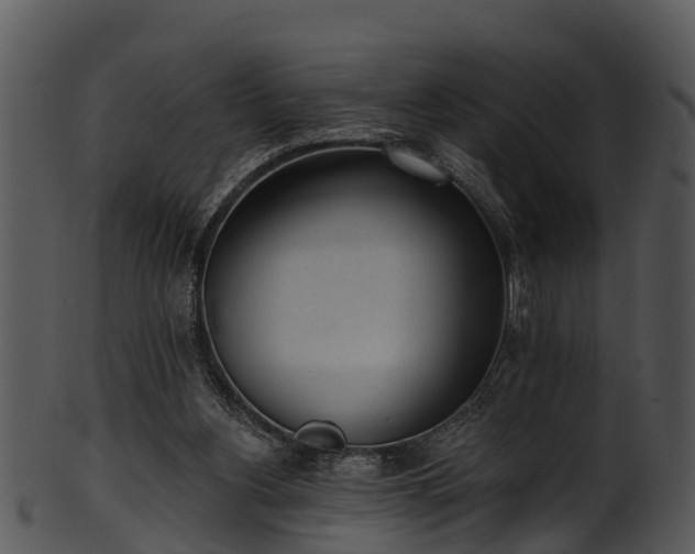 X0000101420156200807141202