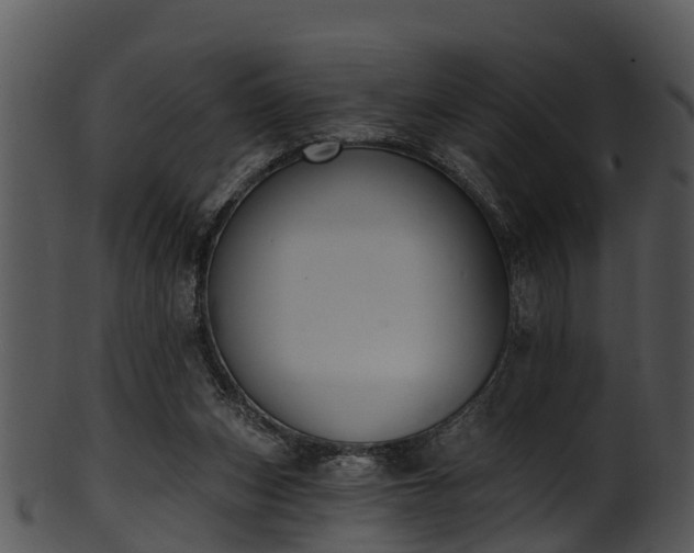 X0000101420159200807141202