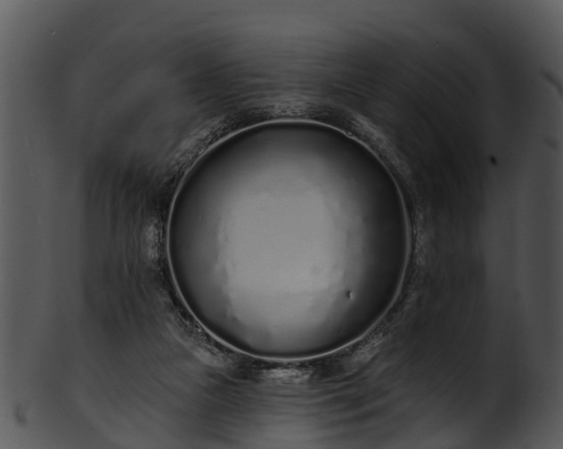 X0000101420161200807141202
