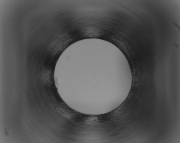 X0000101420162200807141202
