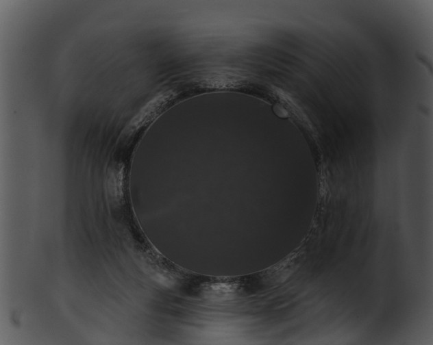 X0000101420163200807141202