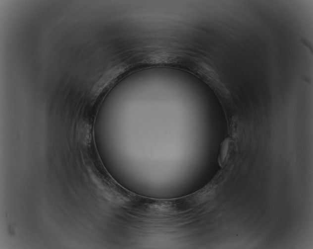 X0000101420164200807141202
